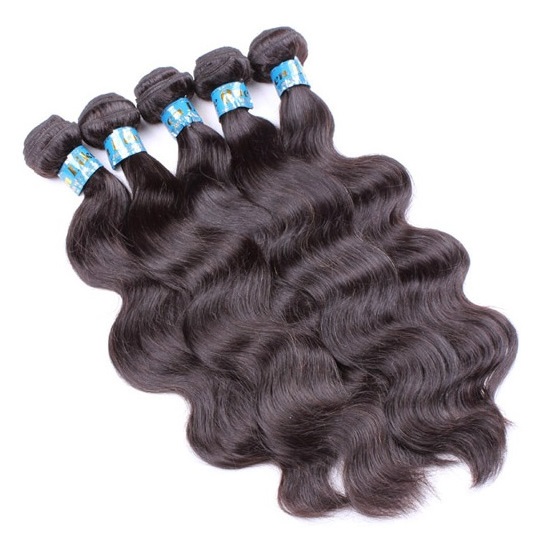 Bundles of Brazilian Hair