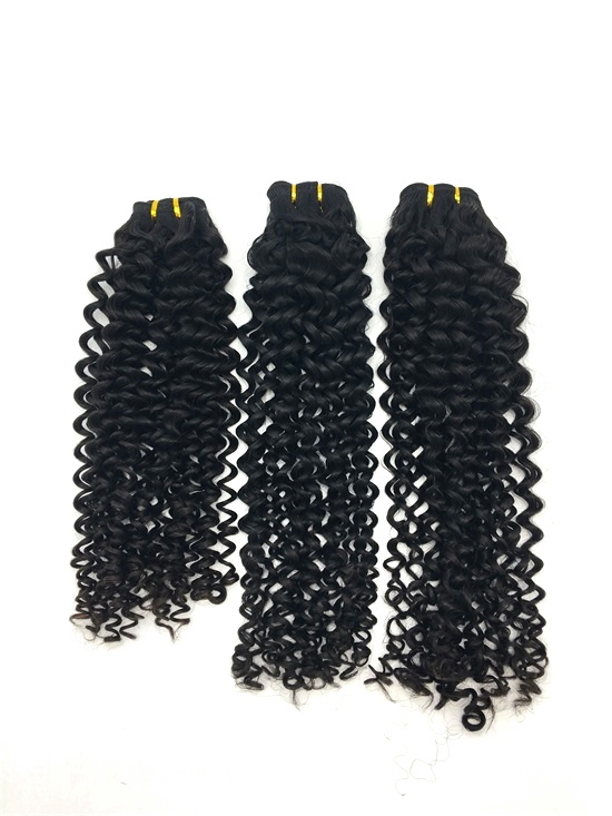 Virgin Brazilian Deep Curly Hair Bundles